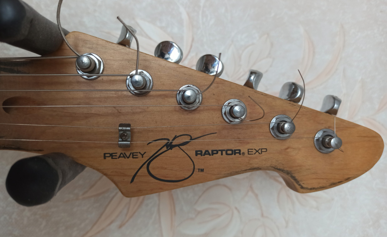 Audio equipment and instruments for rent, Peavey Raptor EXP gitara rent, Vilnius