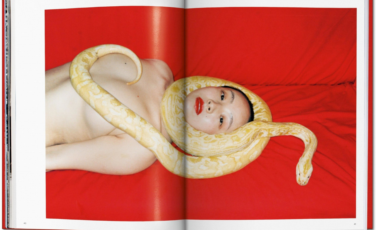 Holiday and travel items for rent, Tribute to Ren Hang rent, Vilnius