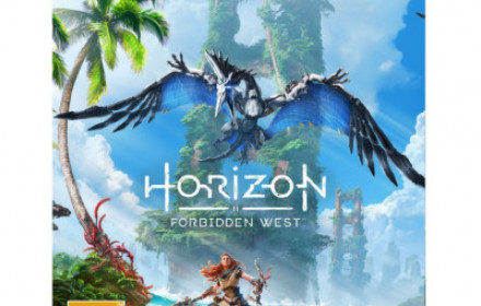 Žaidimas PS4 Horizon Forbidden West
