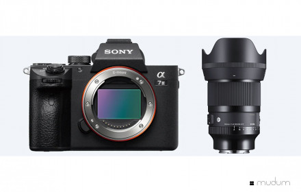 Sony a7iii su sigma 50mm f1.4 DG DN(new)