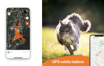 Weenect GPS Cat Tracker