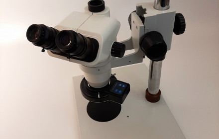 Stereo mikroskopas